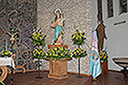 Triduo y Procesión de María Auxiliadora 2011